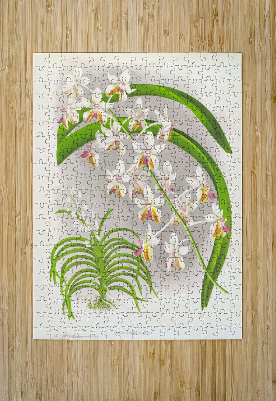 Vanda Boxalli IStockHistory com Puzzle printing