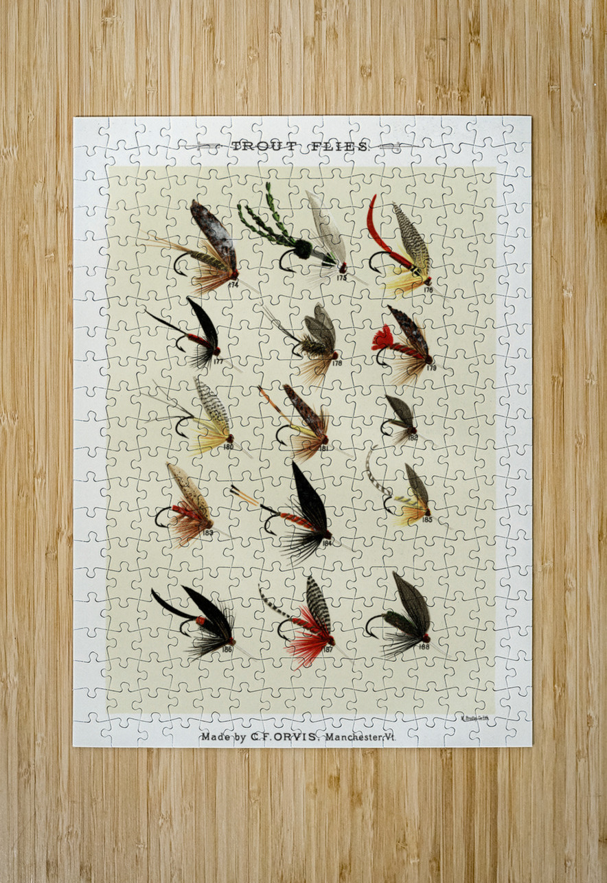 Trout Flies  IStockHistory com Puzzle printing