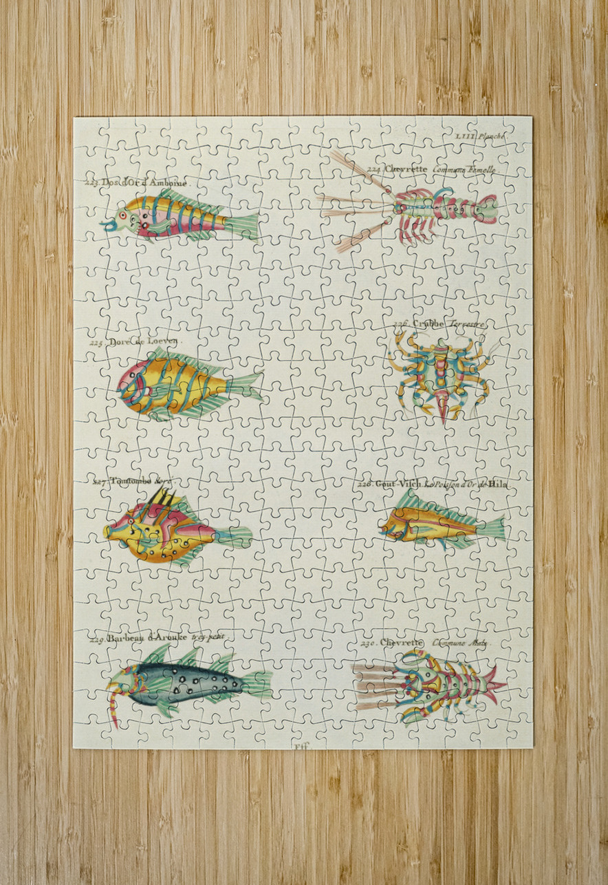 Colourful and surreal illustrations of fishes lobsters and crab found in Moluccas Indonesia and the East Indies by Louis Renard 1678 -1746 from Histoire naturelle des plus rares curiositez de la mer des Indes 1754. IStockHistory com Puzzle printing