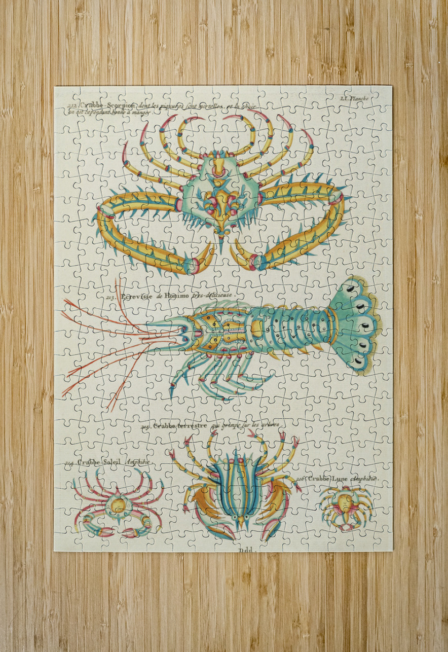 Colourful and surreal illustrations of fishes and  found in the Indian and Pacific Oceans by Louis Renard 1678 -1746 from Histoire naturelle des plus rares curiositez de la mer des Indes 1754. IStockHistory com Puzzle printing
