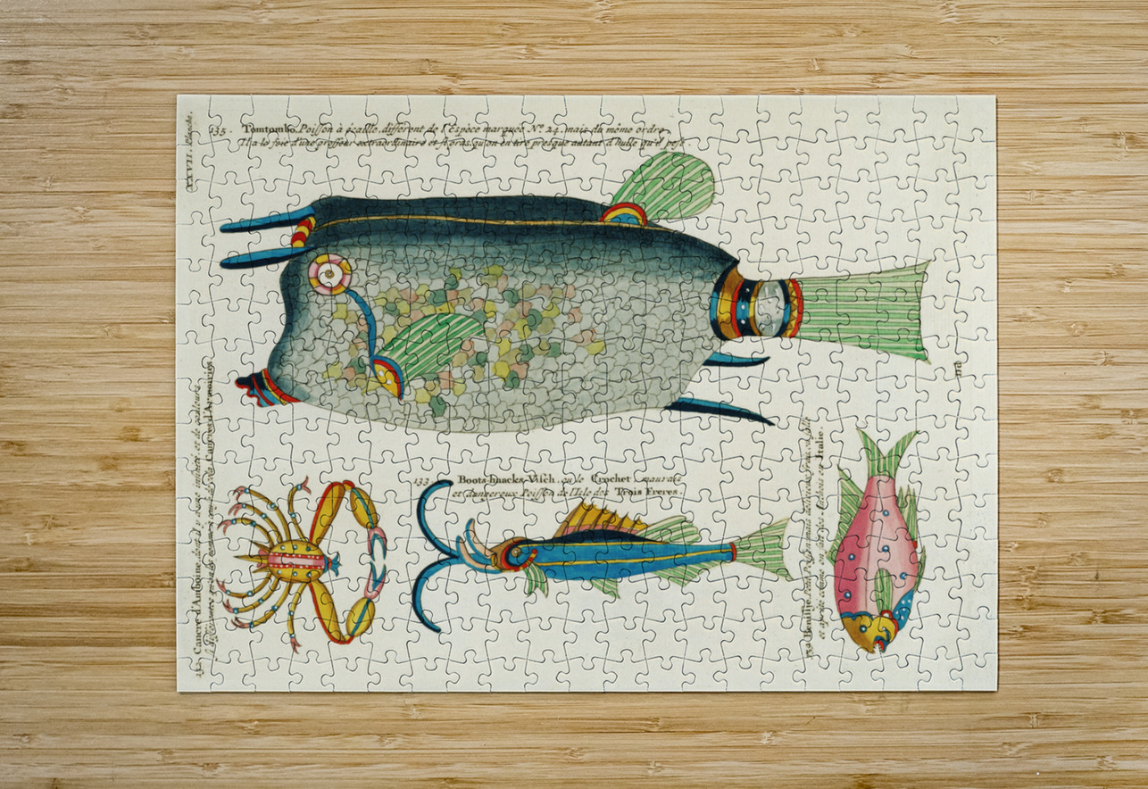 Colourful and surreal illustrations of fishes and crab found in Moluccas Indonesia and the East Indies by Louis Renard 1678 -1746 from Histoire naturelle des plus rares curiositez de la mer des Indes 1754. IStockHistory com Puzzle printing