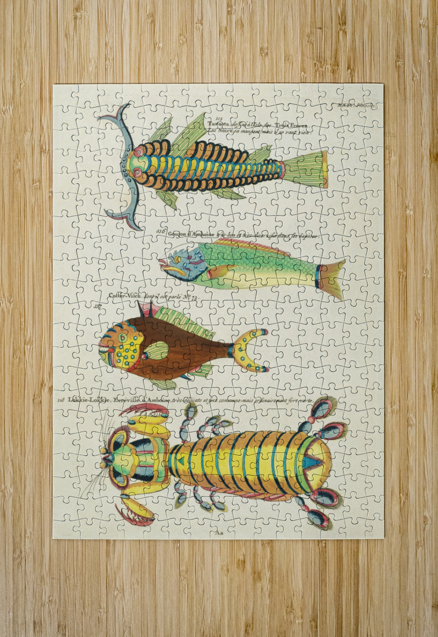 Colourful and surreal illustrations of fishes and other marine life found in Moluccas Indonesia and the East Indies by Louis Renard 1678 -1746 from Histoire naturelle des plus rares curiositez de la mer des Indes 1754. IStockHistory com Puzzle printing