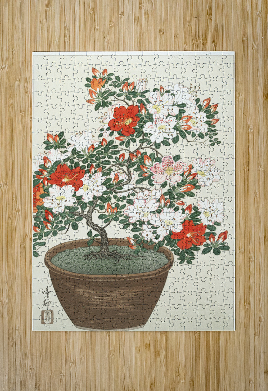Blooming azalea in brown pot 1920 - 1930 by Ohara Koson 1877-1945. IStockHistory com Puzzle printing