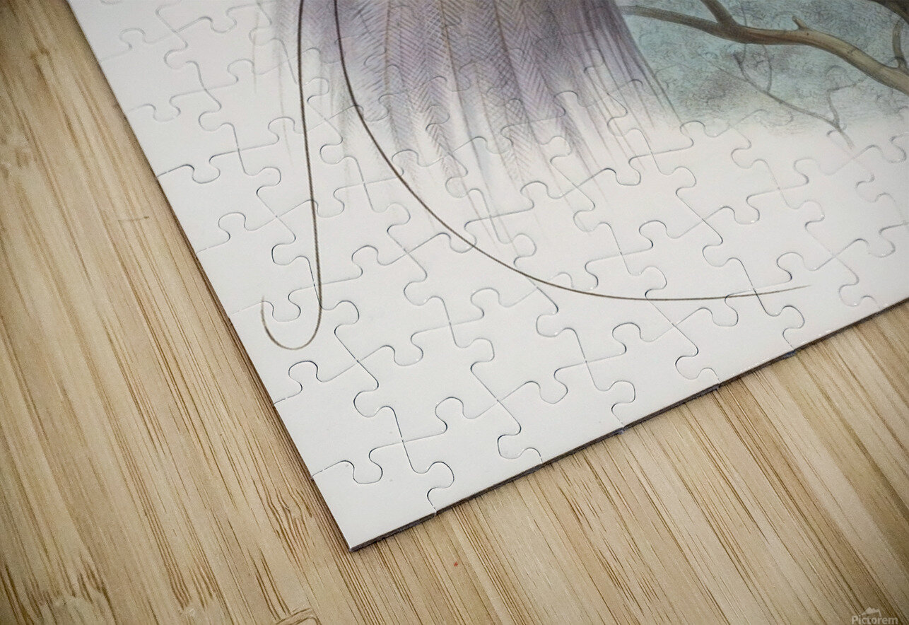 Paradisea apoda 1873 IStockHistory com Puzzle