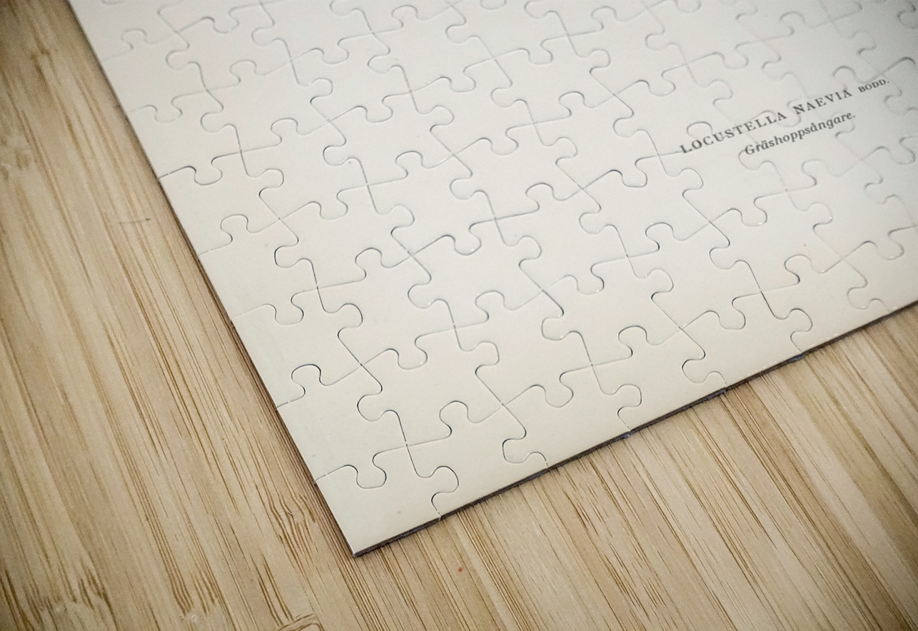 Locustella naevia IStockHistory com Puzzle