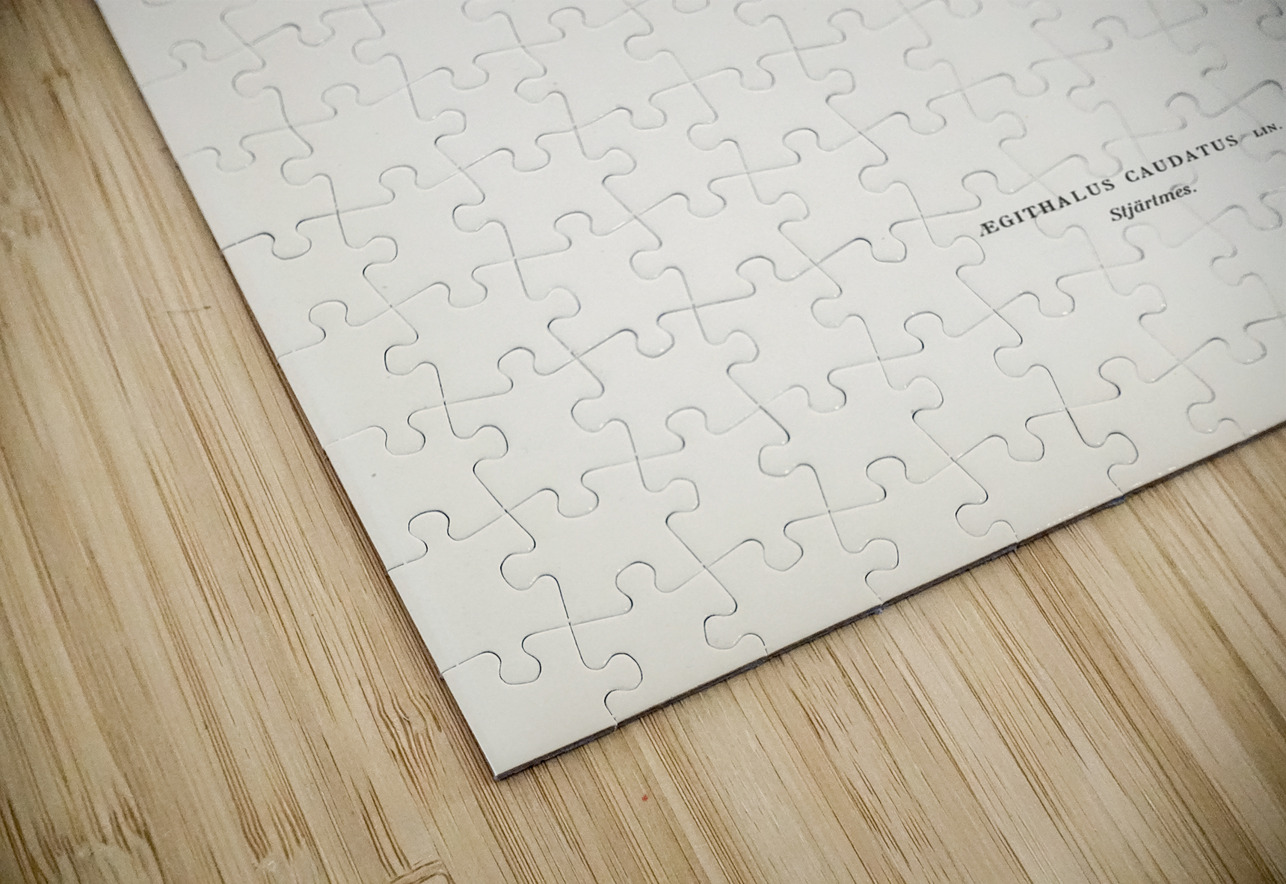 Aegithalus caudatus Long-tailed tit IStockHistory com Puzzle