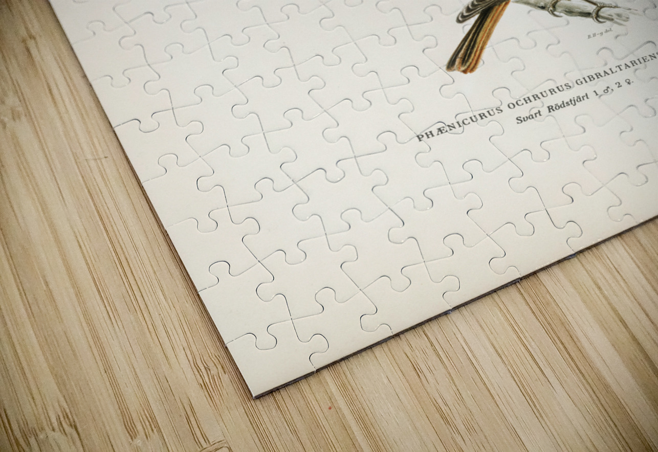 Aegithalus caudatus Long-tailed tit IStockHistory com Puzzle