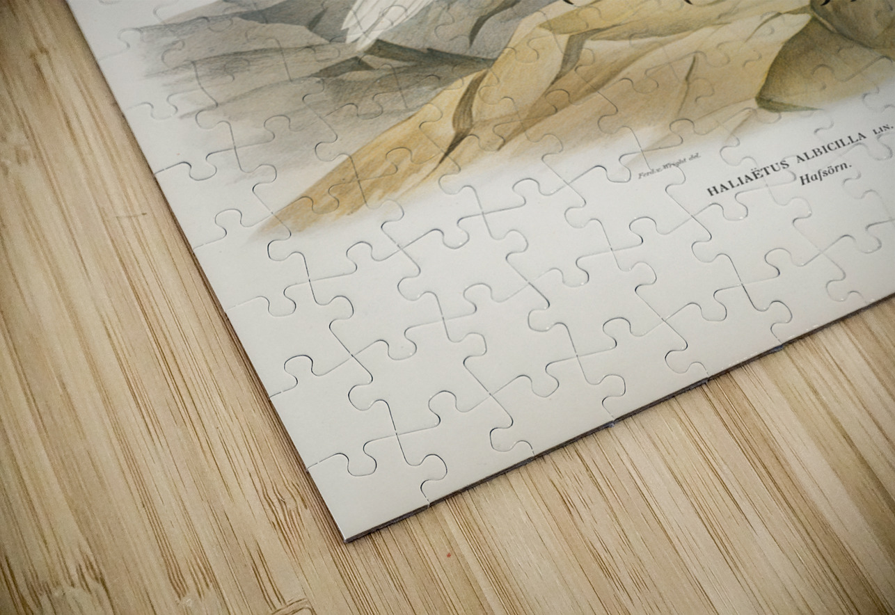 White-tailed eagle IStockHistory com Puzzle