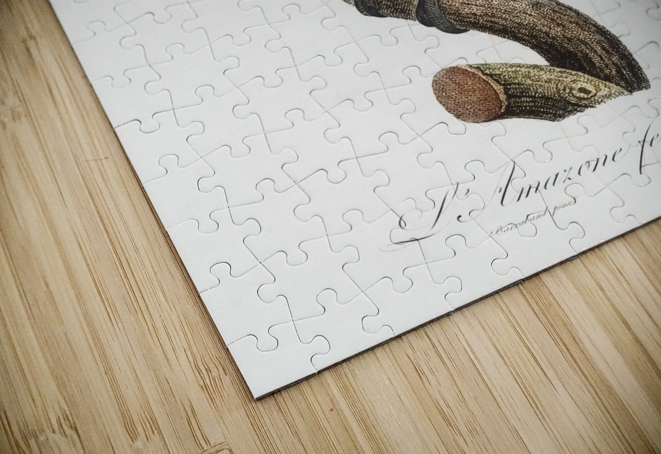 Yellow-crowned amazon IStockHistory com Puzzle