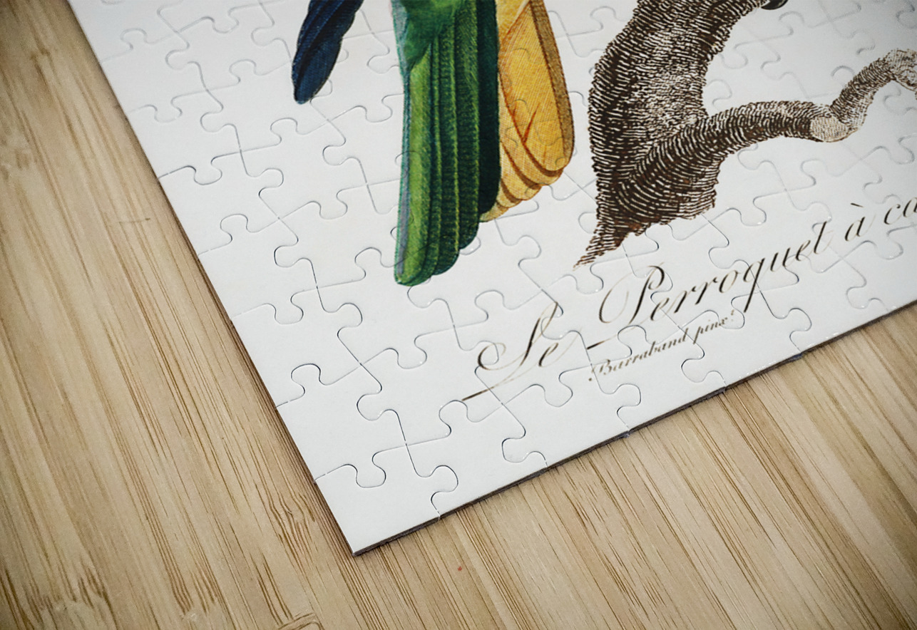 Buru green parrot  IStockHistory com Puzzle