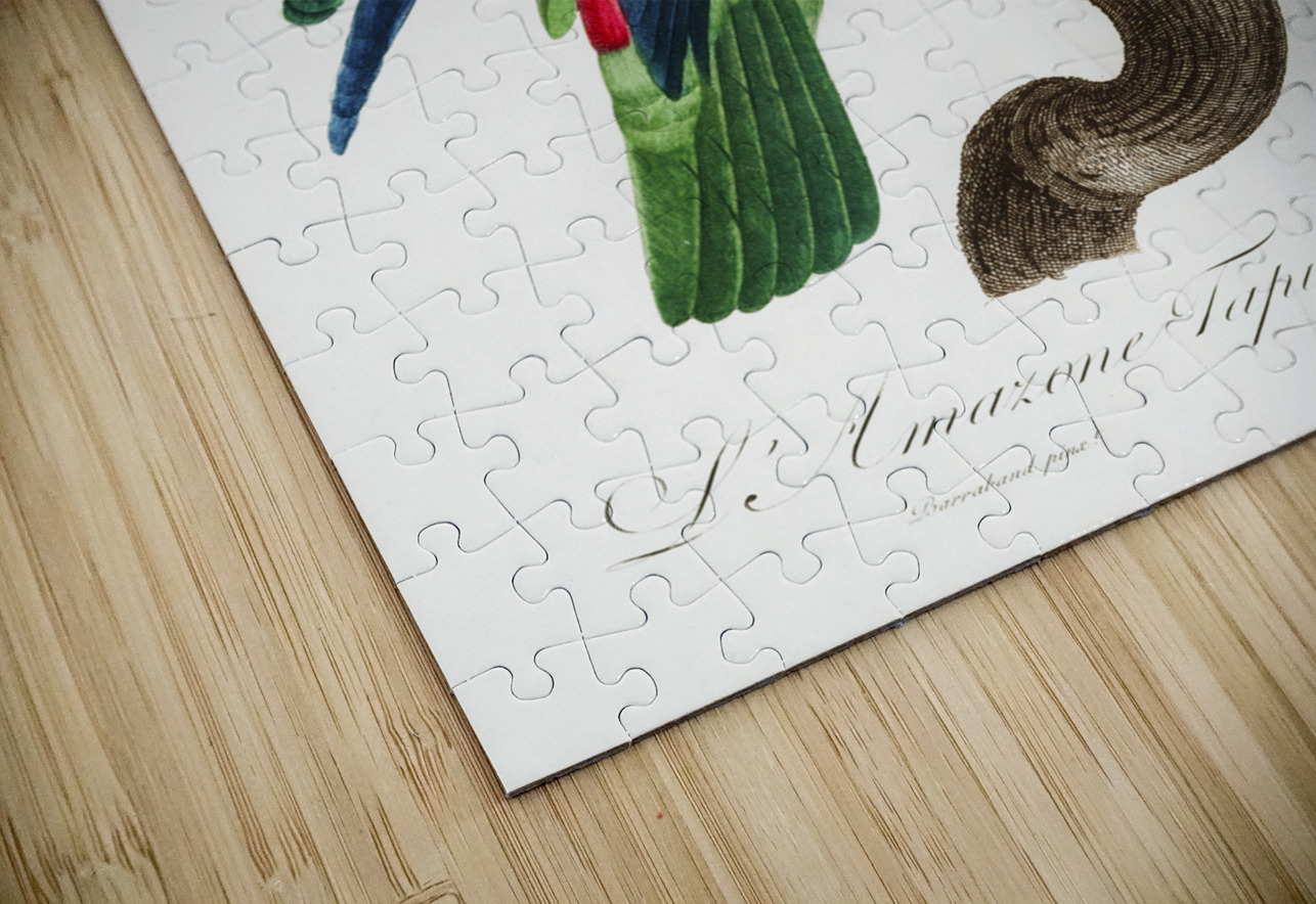 Black lory  IStockHistory com Puzzle