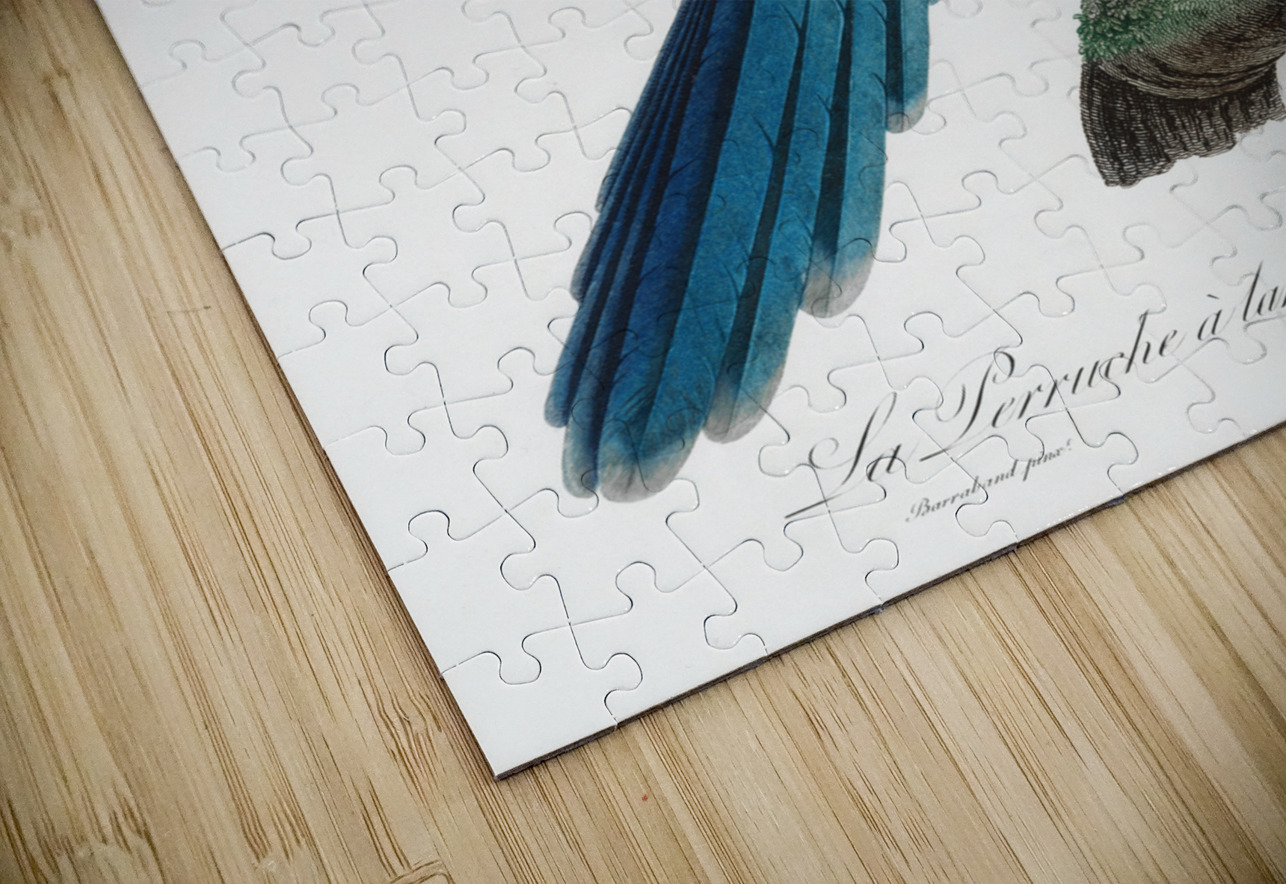 Crimson rosella  IStockHistory com Puzzle