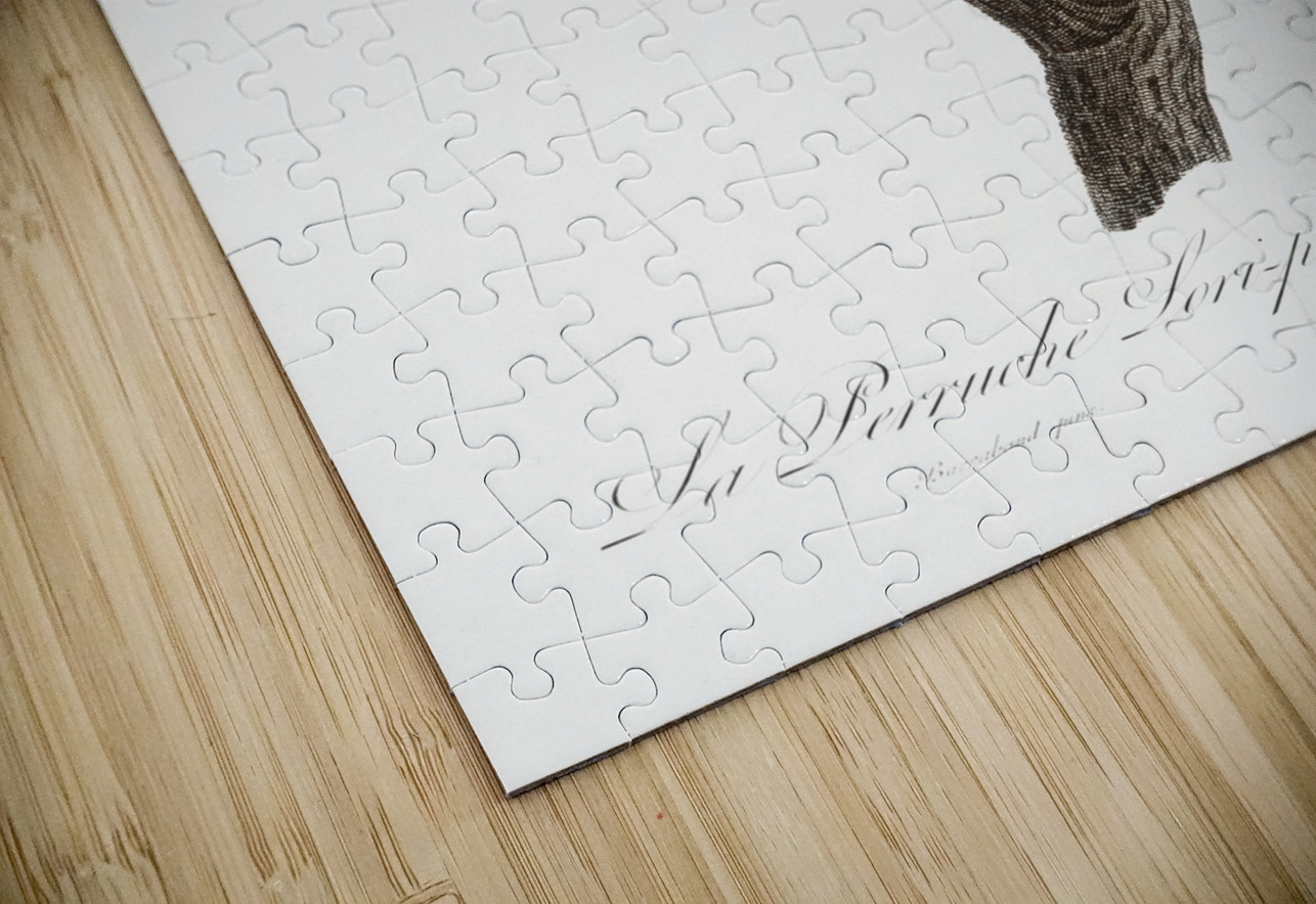 Papuan lorikeet  IStockHistory com Puzzle