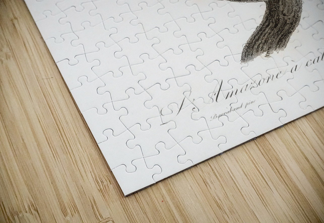 Blue-fronted amazon  IStockHistory com Puzzle