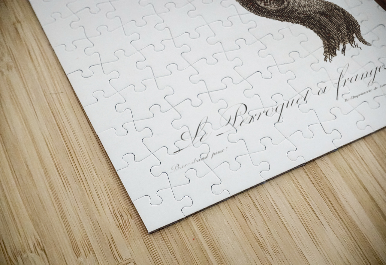 Uncape parrot  IStockHistory com Puzzle