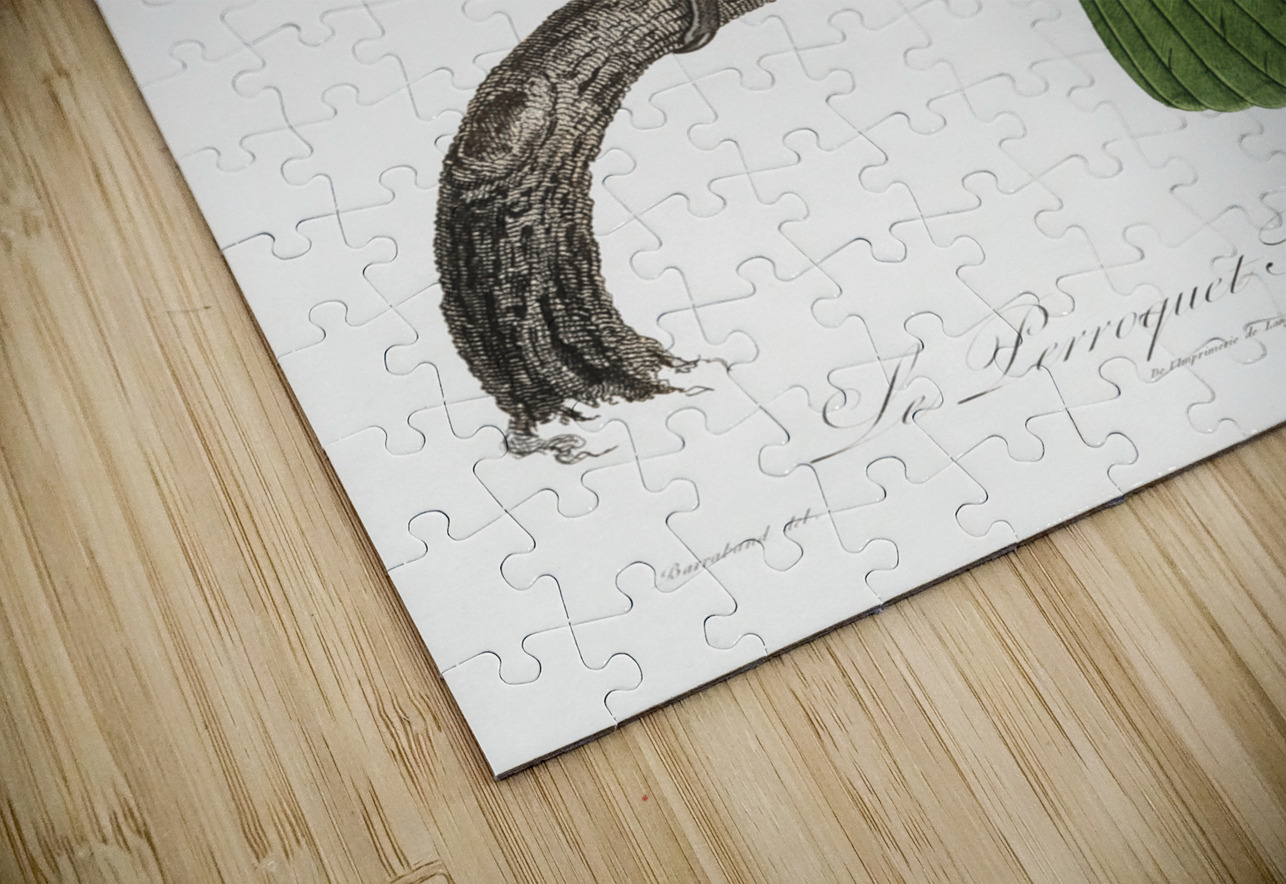 Festive parrot  IStockHistory com Puzzle