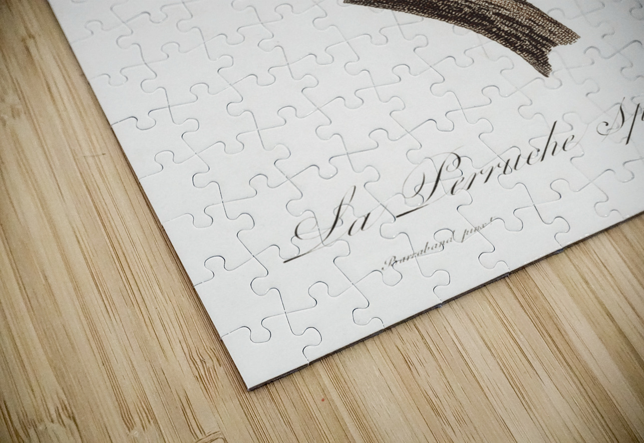 Sparman parakeet  IStockHistory com Puzzle