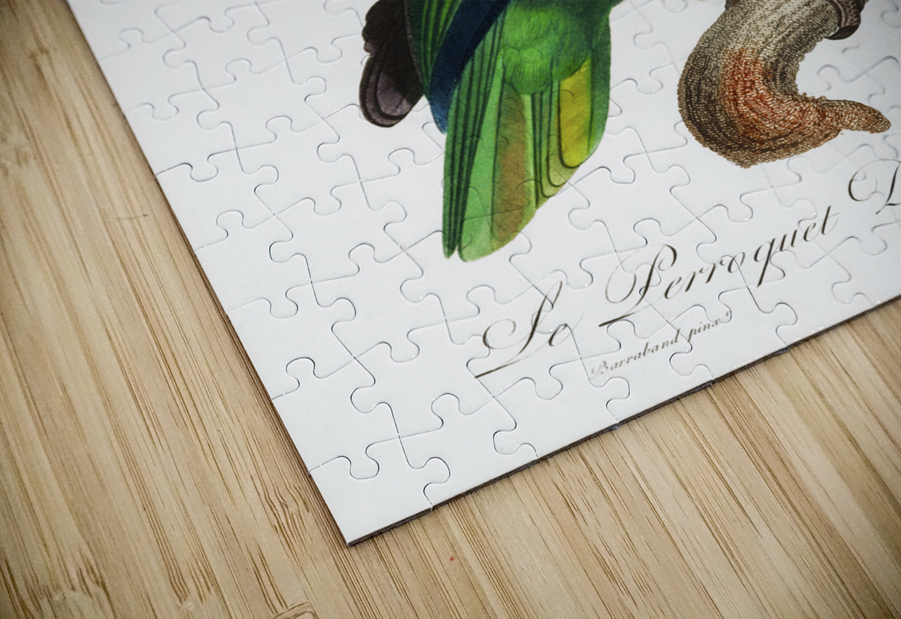 Dufresnes amazon  IStockHistory com Puzzle