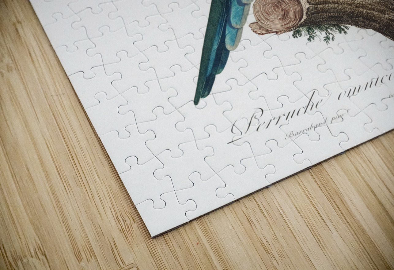 Eastern rosella  IStockHistory com Puzzle