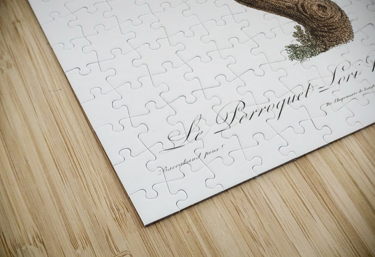 Chattering lory  IStockHistory com Puzzle