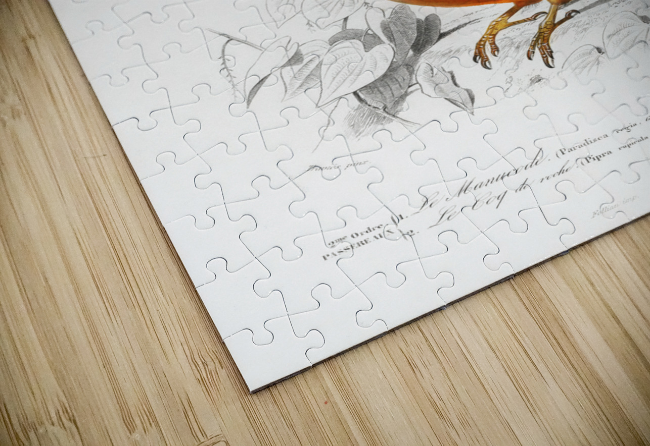 Different types of birds IStockHistory com Puzzle