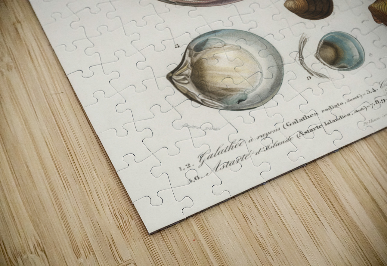 ictionnaire Universel D histoire Naturelle D Orbi 1694477462.2014 IStockHistory com Puzzle