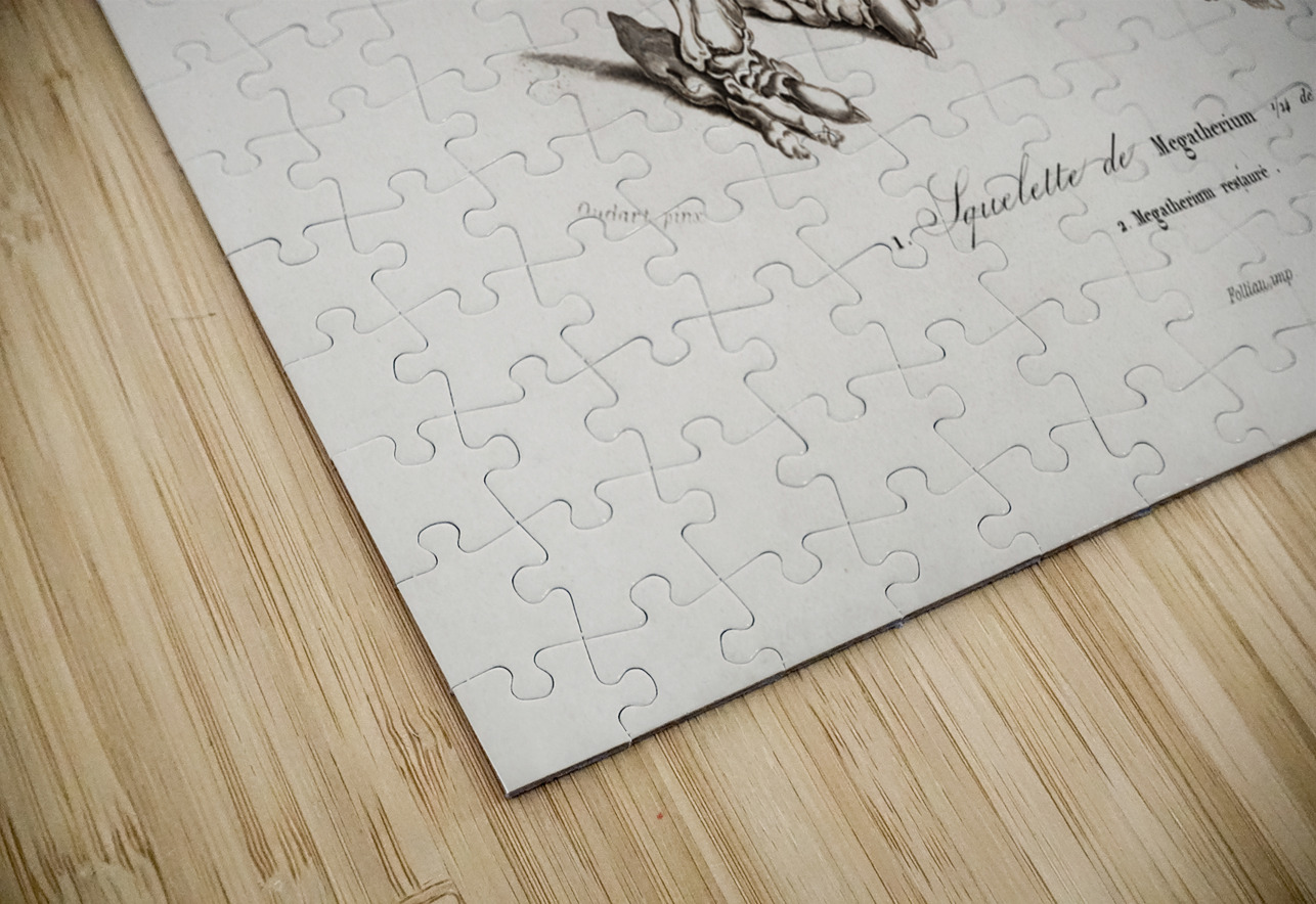 Megatherium IStockHistory com Puzzle