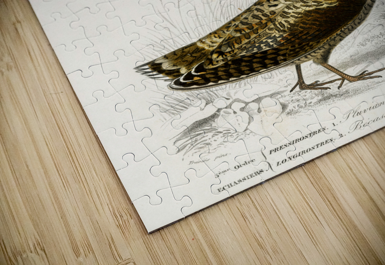 Different types of birds IStockHistory com Puzzle