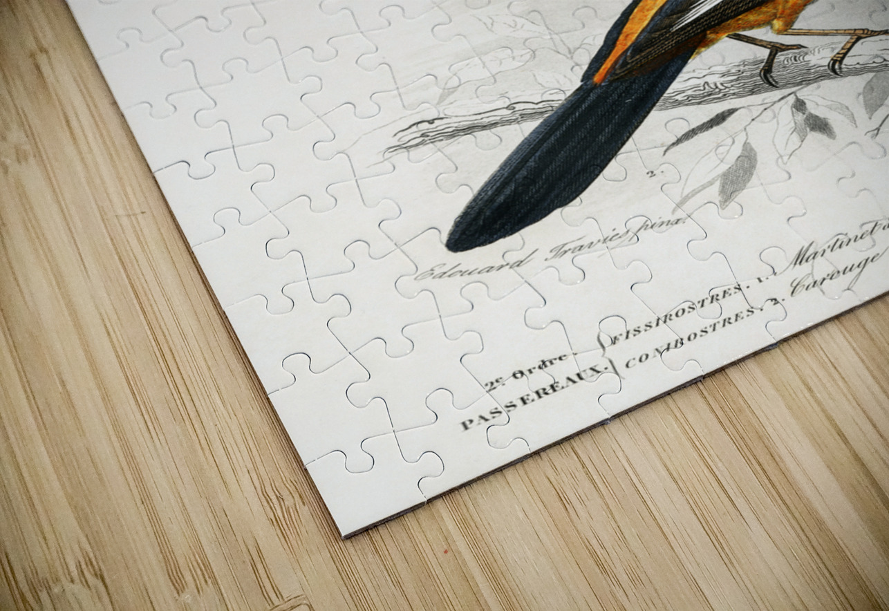 Different types of birds IStockHistory com Puzzle