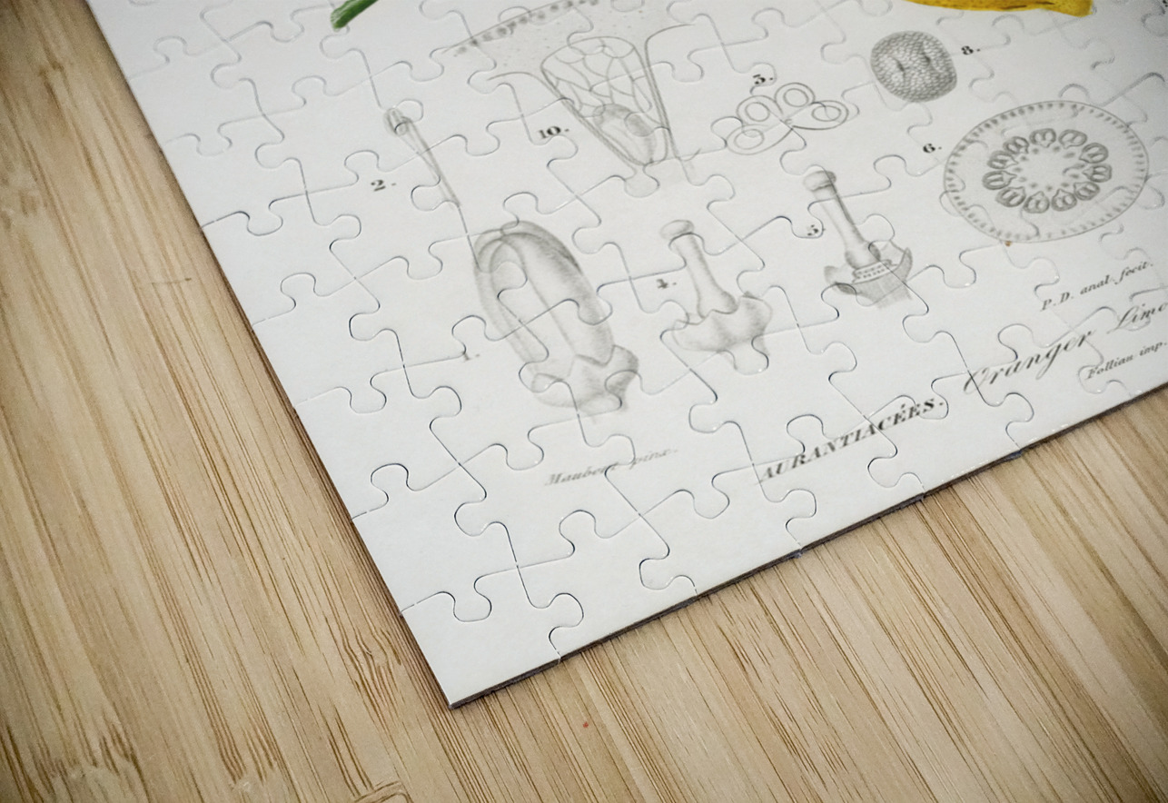 Lemon Citrus Limonium IStockHistory com Puzzle