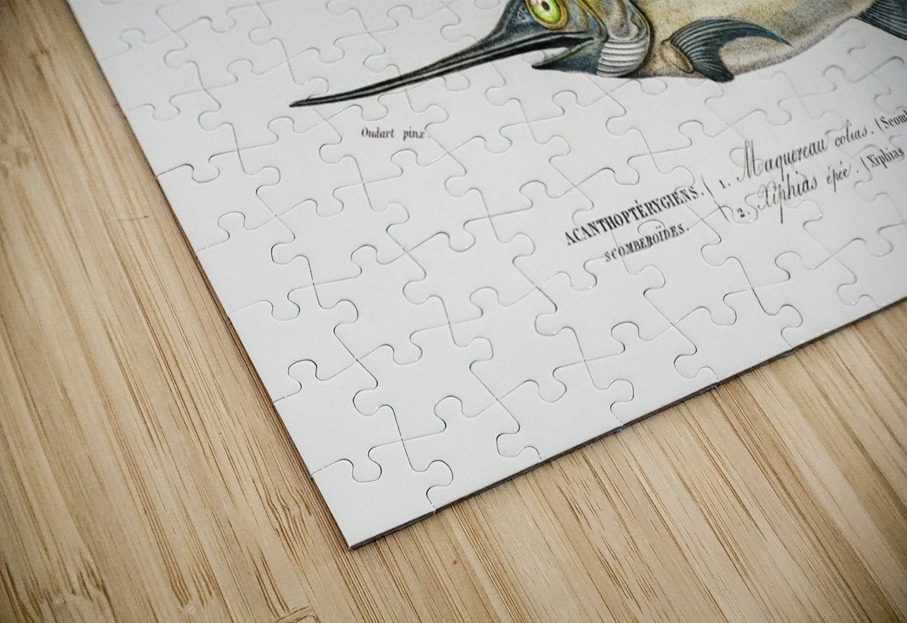 Different types of beetles IStockHistory com Puzzle