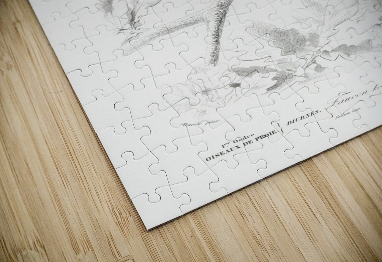 Different types of birds IStockHistory com Puzzle