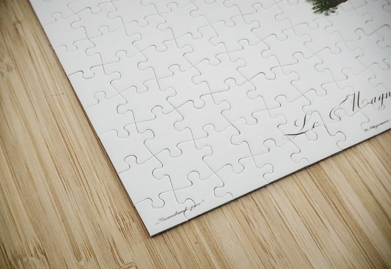 Curl-crested Manucode  IStockHistory com Puzzle