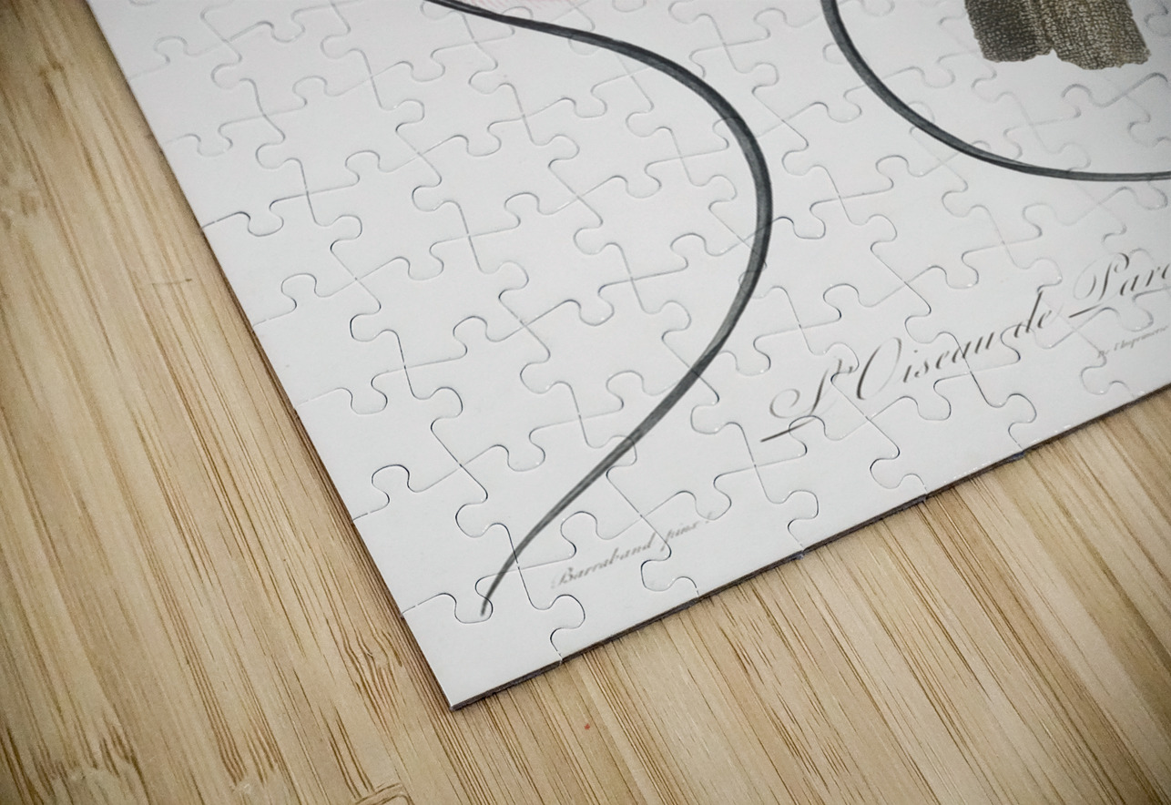 Red bird of paradise  IStockHistory com Puzzle