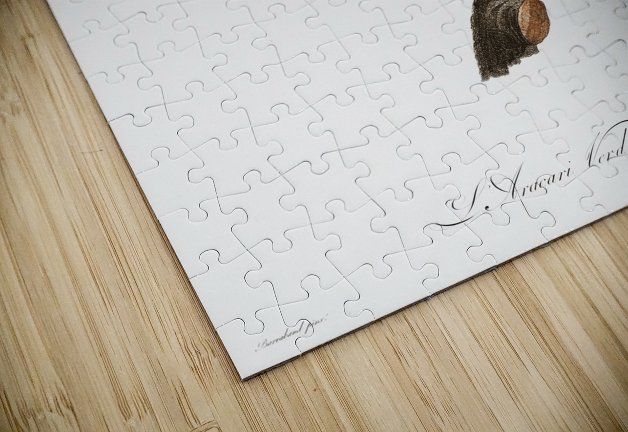 Green aracari  IStockHistory com Puzzle