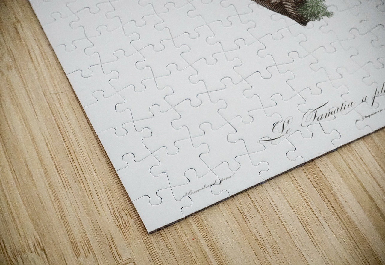 Black-billed Tamatia  IStockHistory com Puzzle