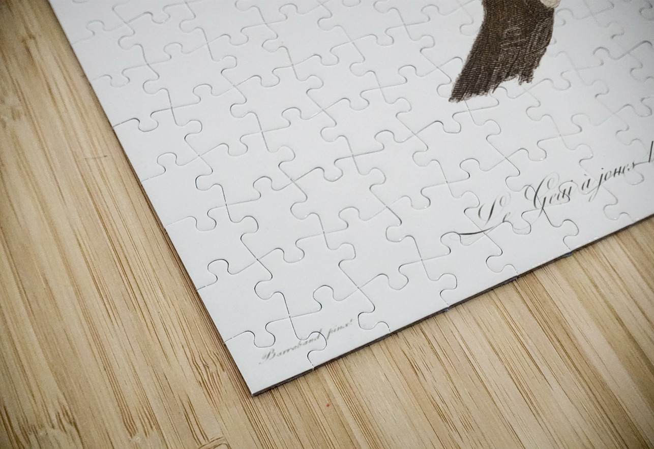 White-cheeked Jay  IStockHistory com Puzzle