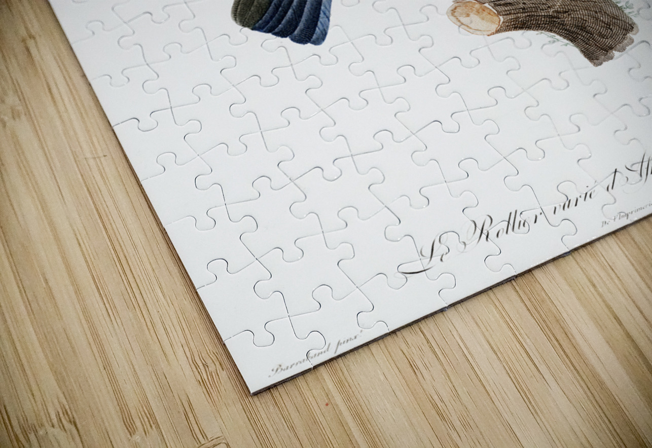 Young African roller  IStockHistory com Puzzle