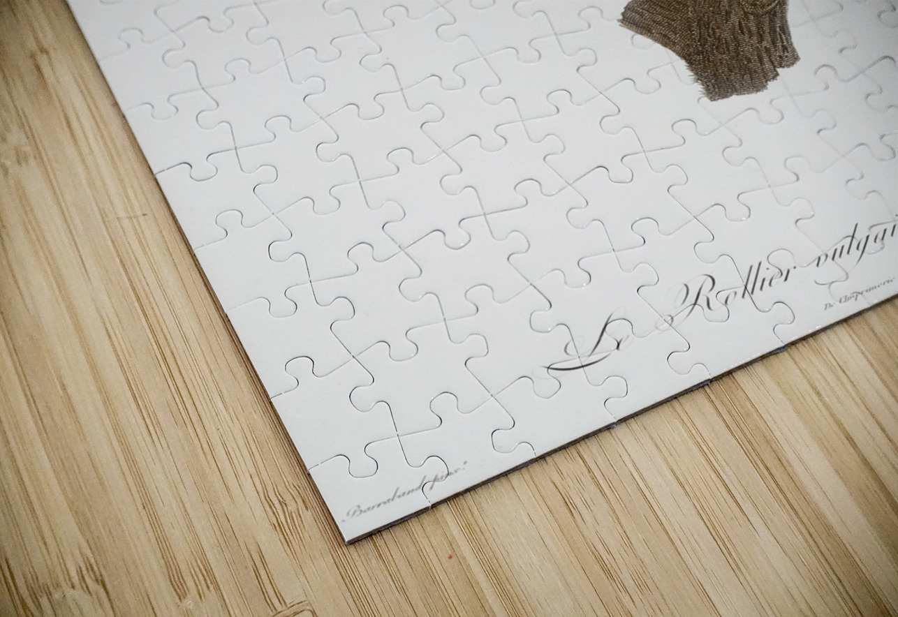 Abyssinian roller female IStockHistory com Puzzle