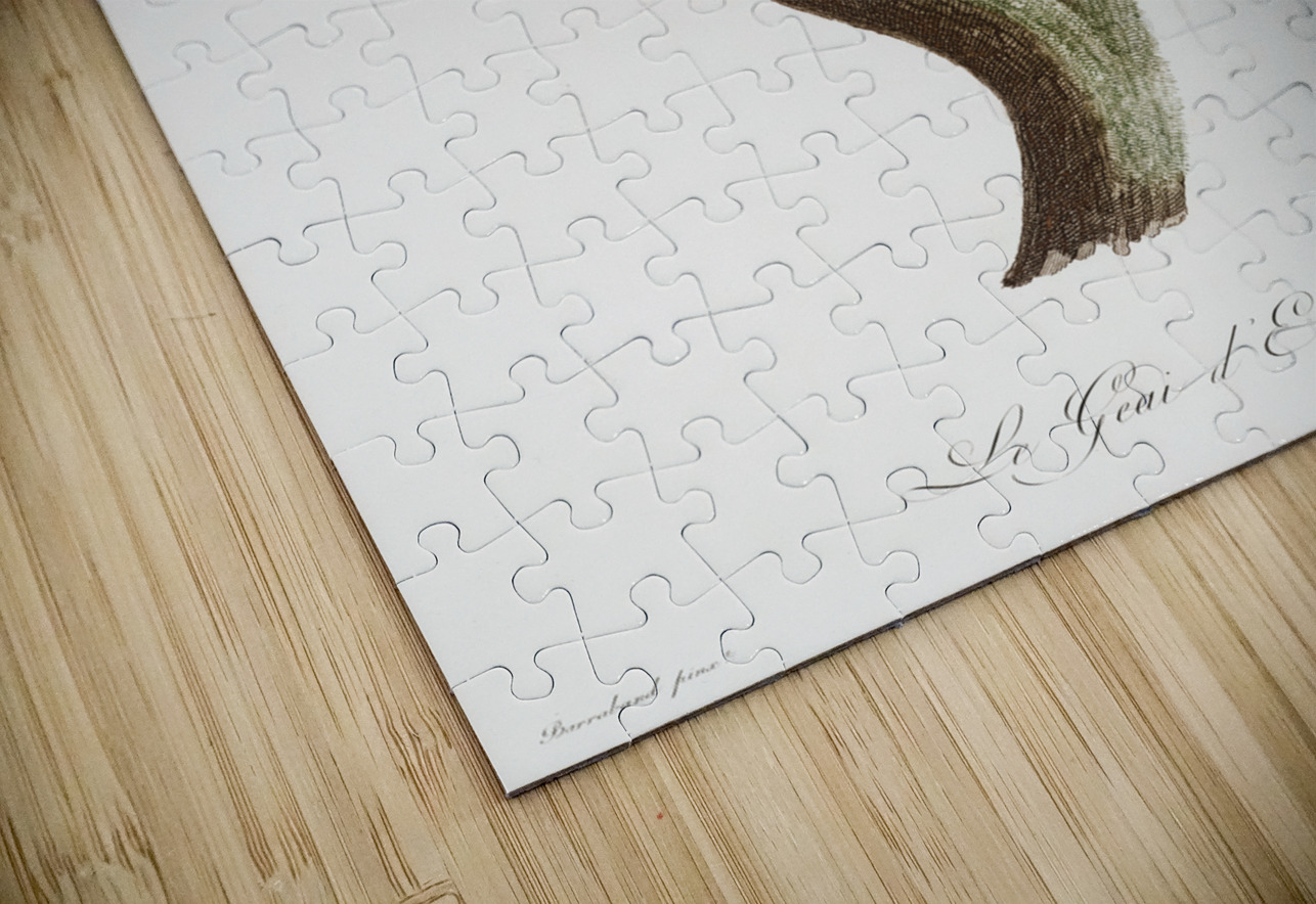 Eurasian Jay  IStockHistory com Puzzle