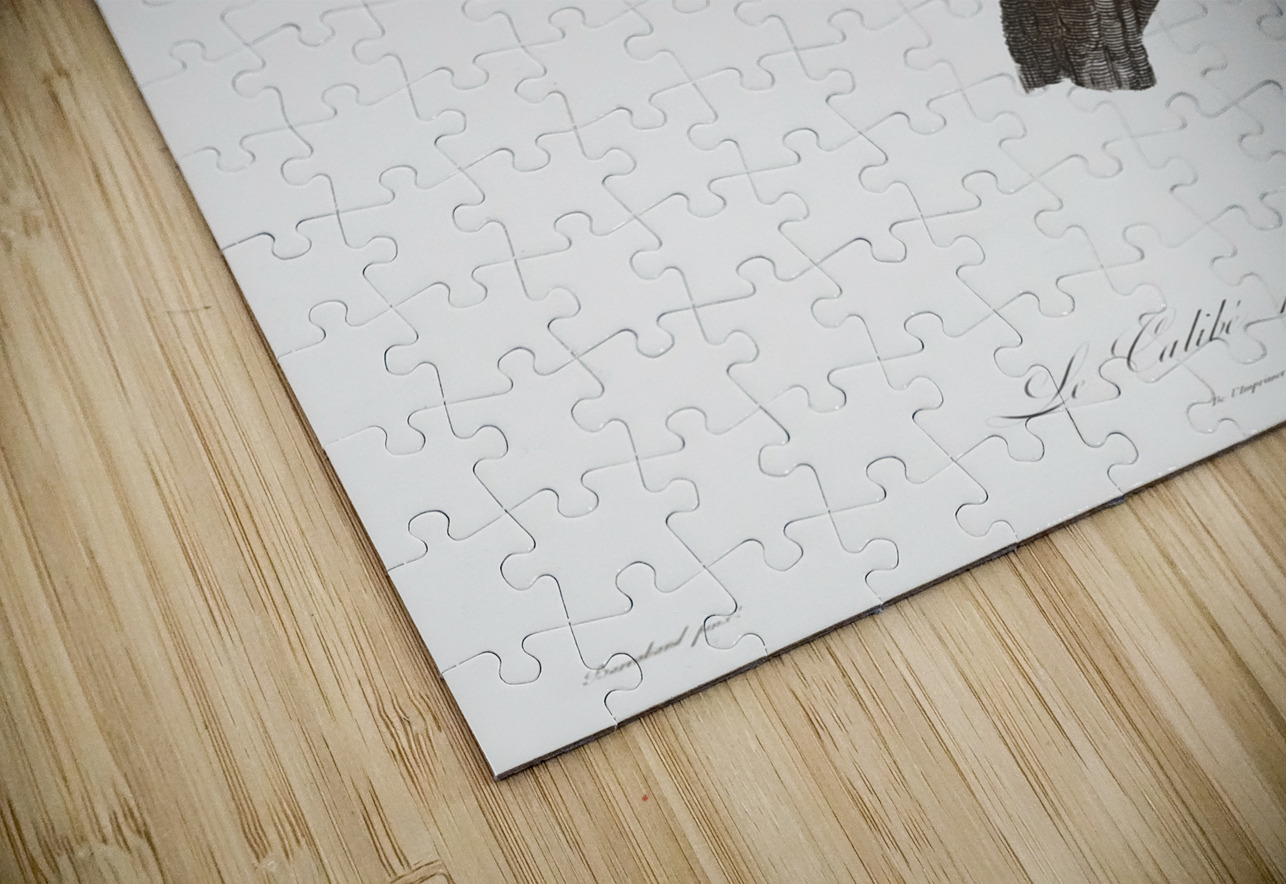 Manucode Male  IStockHistory com Puzzle