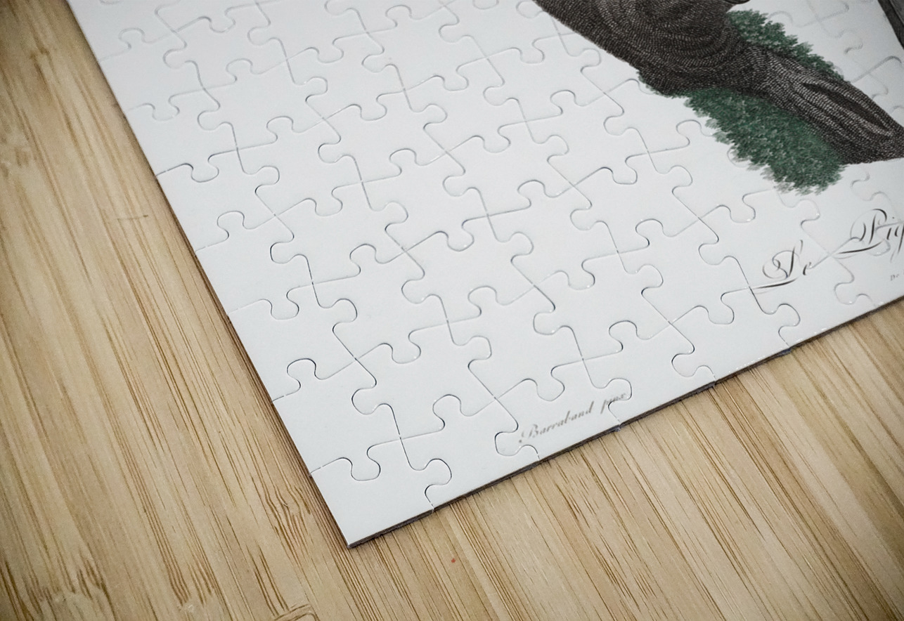 Green-billed toucan  IStockHistory com Puzzle