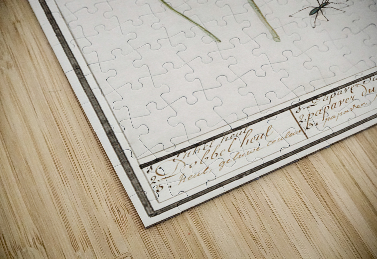 Poppy in vintage style IStockHistory com Puzzle