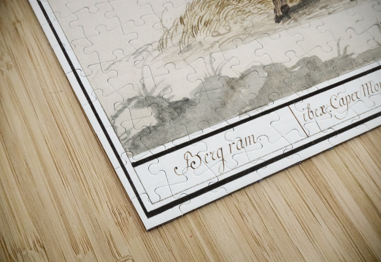 Ibex in vintage style IStockHistory com Puzzle