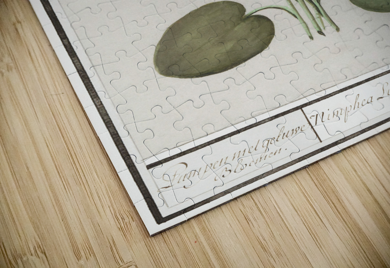 Yellow floppy flower IStockHistory com Puzzle