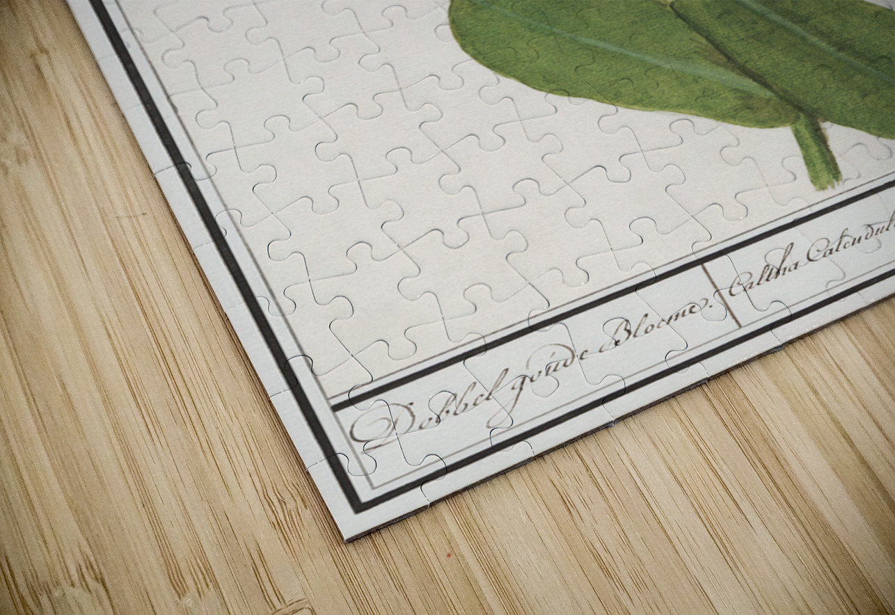 Barn owl in vintage style IStockHistory com Puzzle