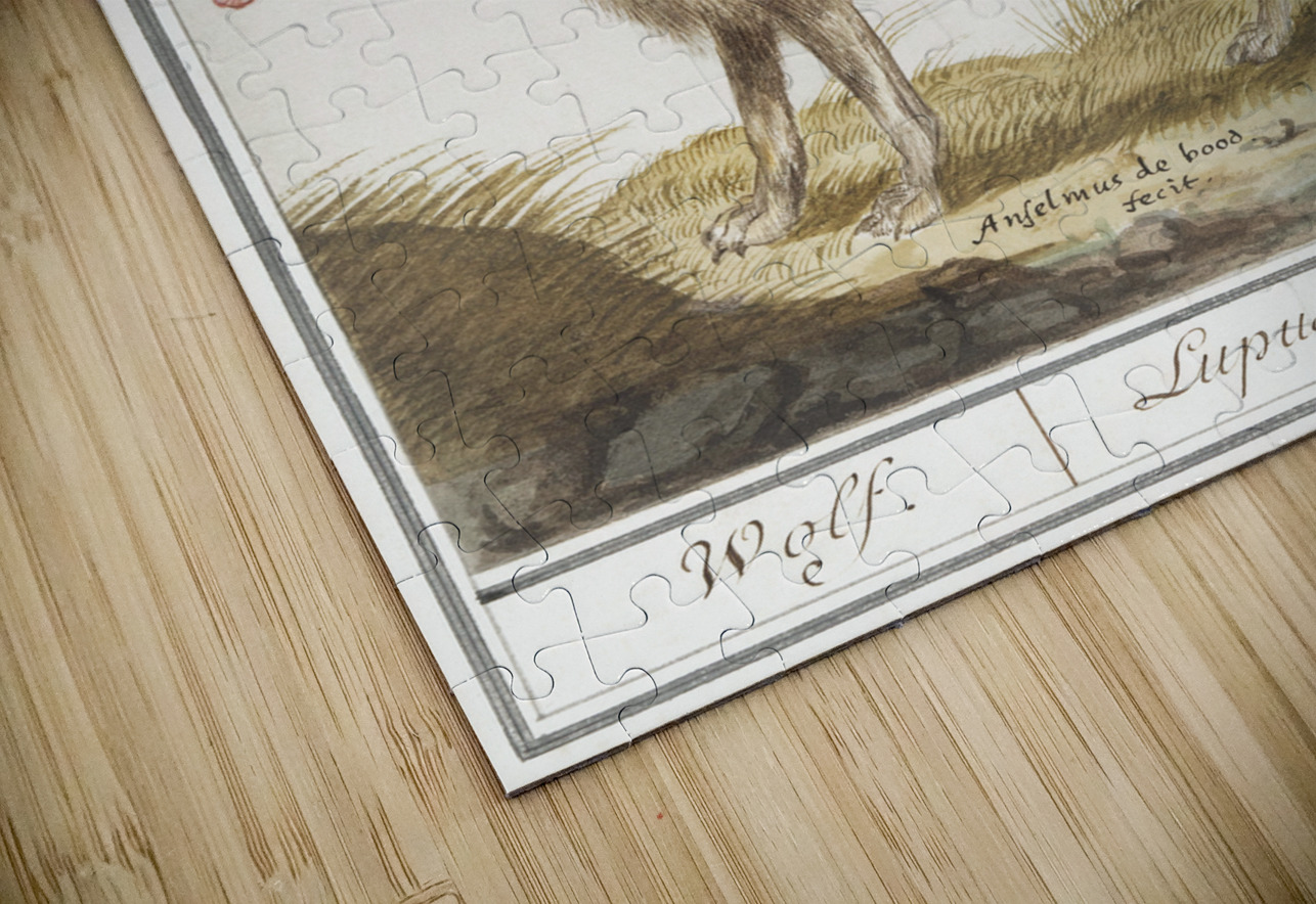 Wolf in vintage style IStockHistory com Puzzle