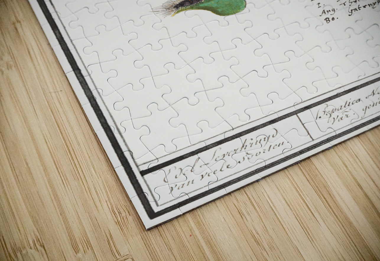 Liverleaf in vintage style IStockHistory com Puzzle