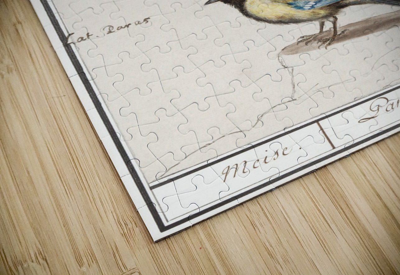 Passerines in vintage style IStockHistory com Puzzle