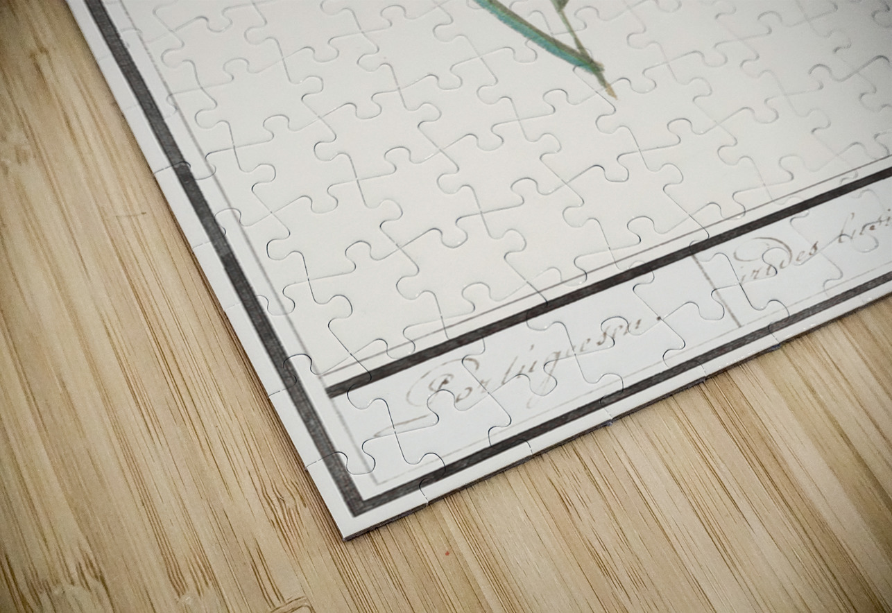 Blue iris in vintage style IStockHistory com Puzzle